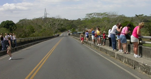 Tarcoles River