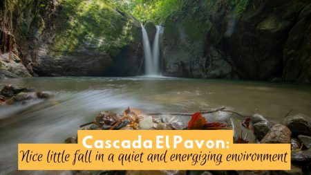 Cascada El Pavon waterfall in Costa Rica with tranquil pool and lush greenery